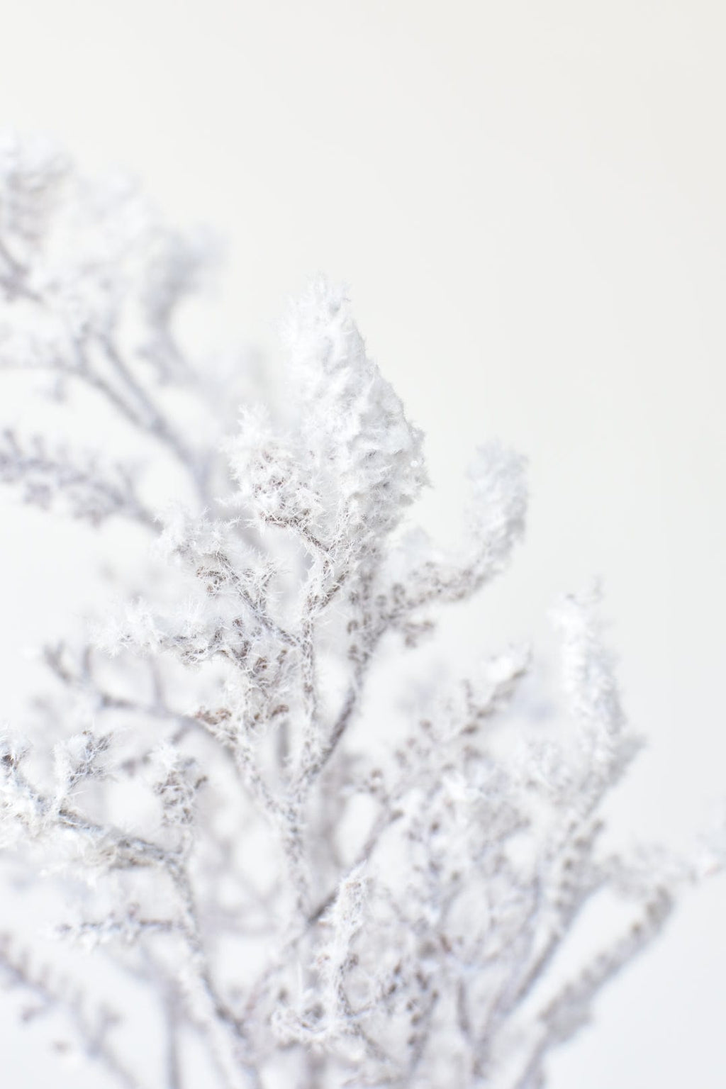 Faux flocked twig sprigs with snowy white texture on branching twigs