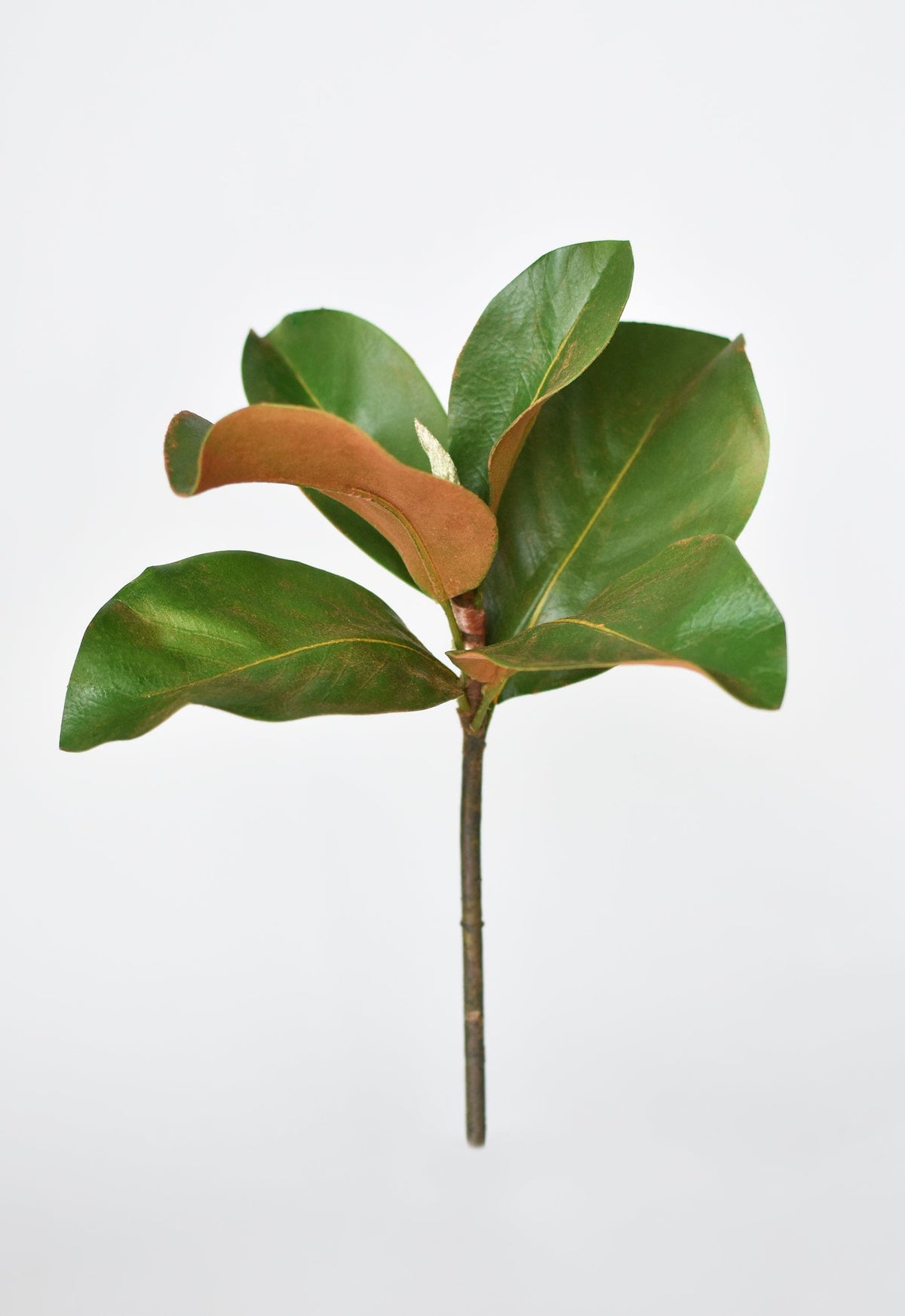 14-inch faux magnolia leaf stem with green leaves and brown stem