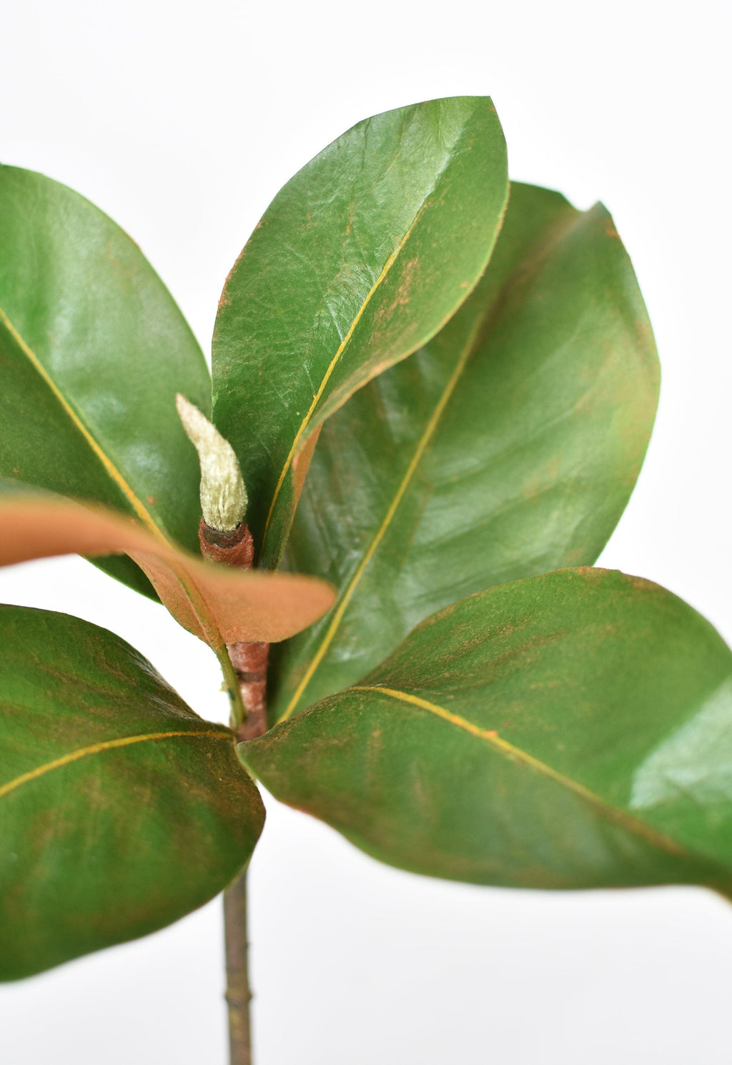 Faux magnolia leaf stem close-up with glossy green leaves and brown bud