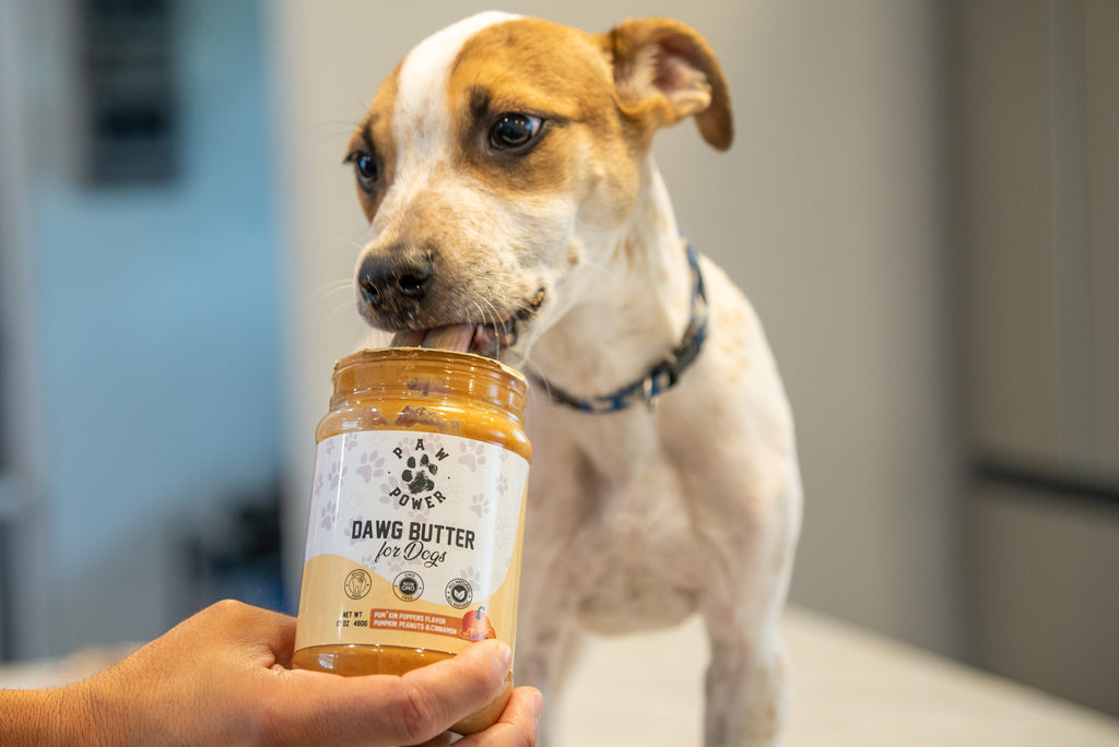 Hand holding Dawg Butter jar in front of sitting dog