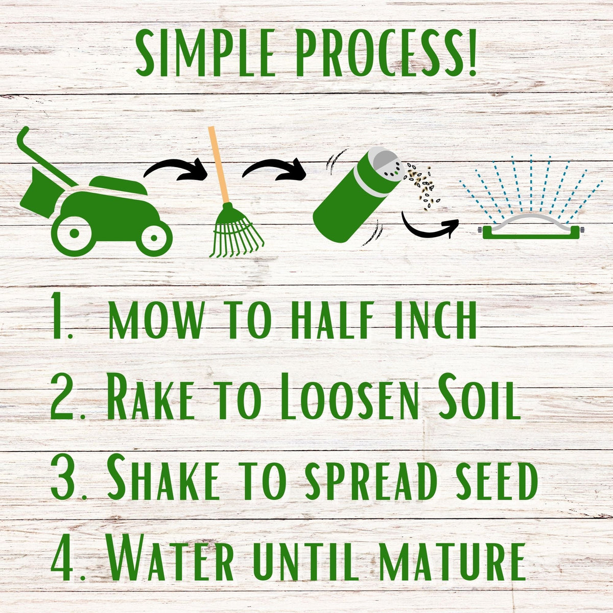 Bee lawn seed kit simple process steps graphic with grow icons