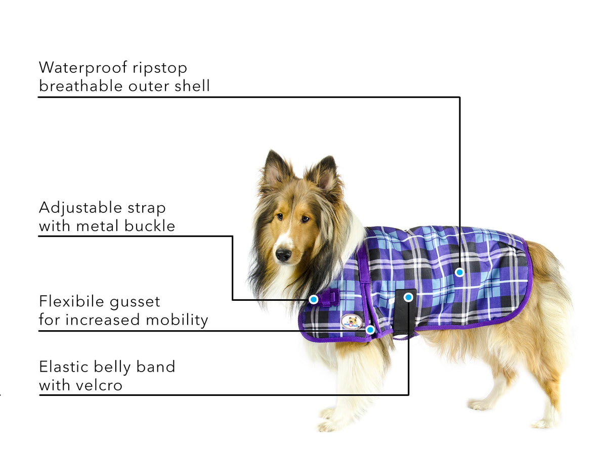 Purple plaid insulated dog winter coat with adjustable metal buckle and belly strap