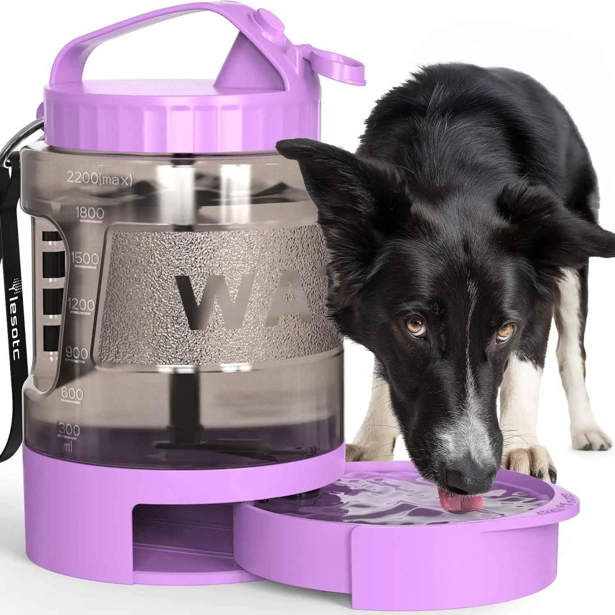 Purple portable dog water bottle with a fold-out bowl and black dog drinking