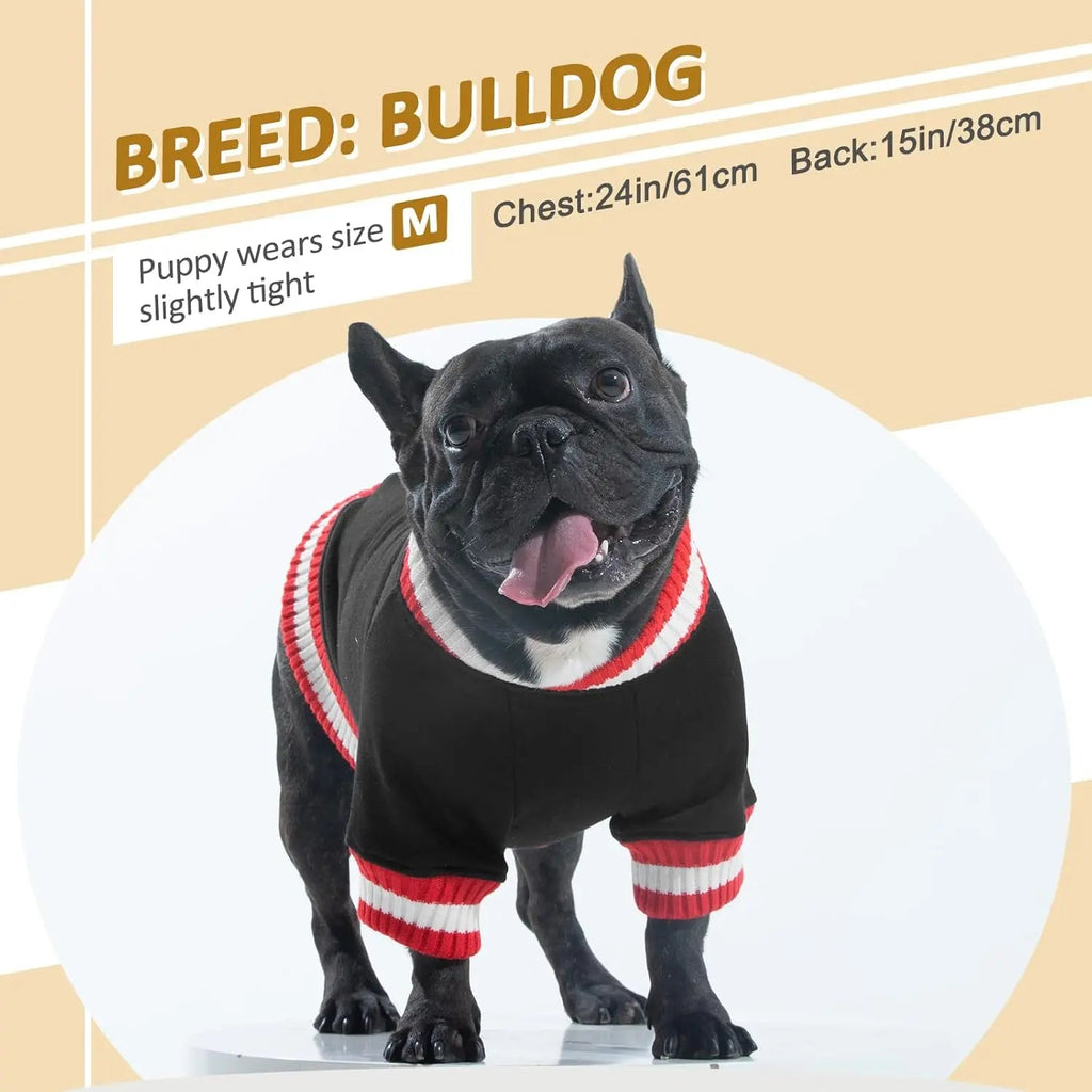 Black dog winter fleece pullover hoodie with red striped collar and sleeve bands