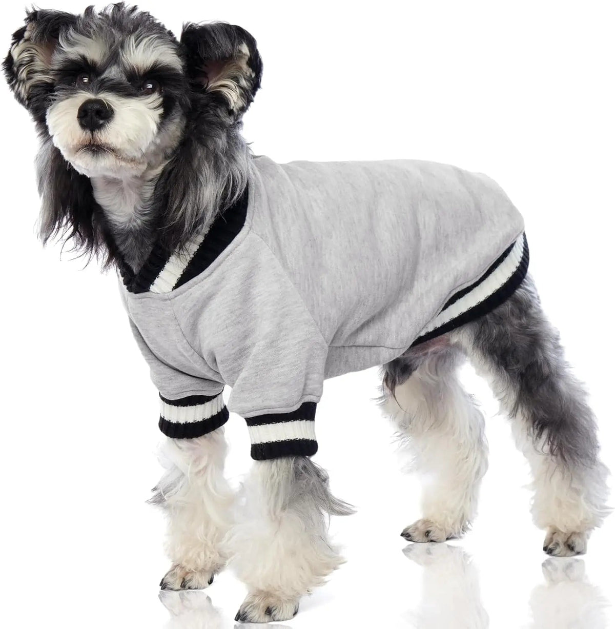 Light gray dog fleece pullover with ribbed striped neckline and cuffs