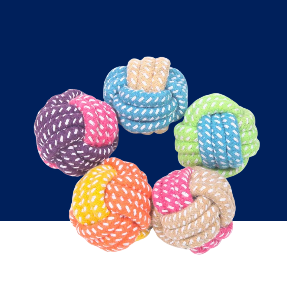 Set of cotton rope ball dog chewer toys, assorted colors, braided knots