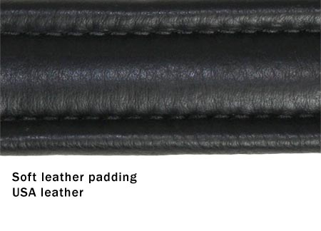 Black leather dog collar with soft leather padding close-up