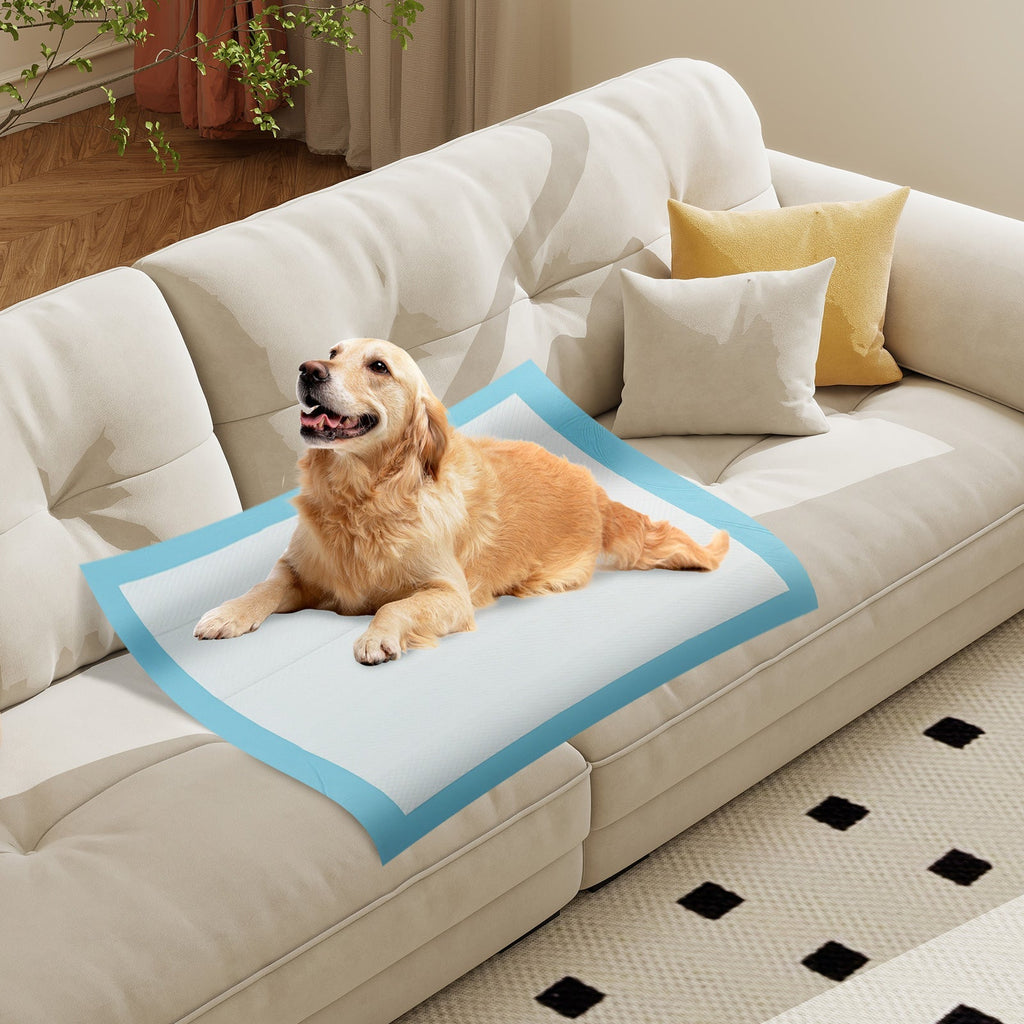 Blue disposable dog training pad for potty use, set on a sofa seat