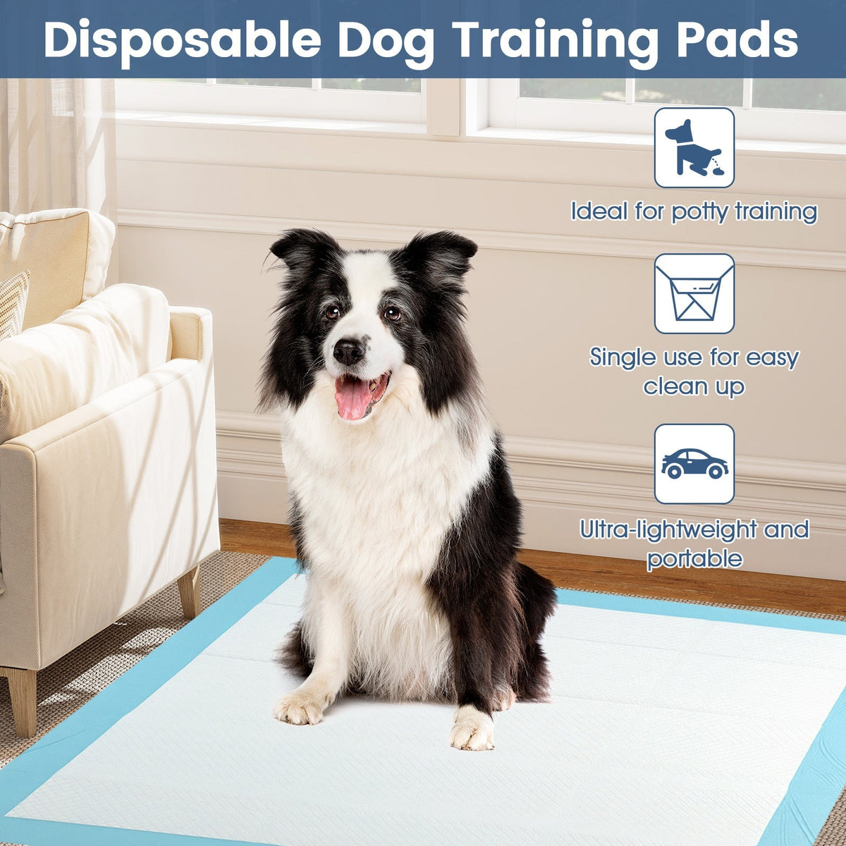 Disposable dog potty training pads with blue border on a clean-up pad