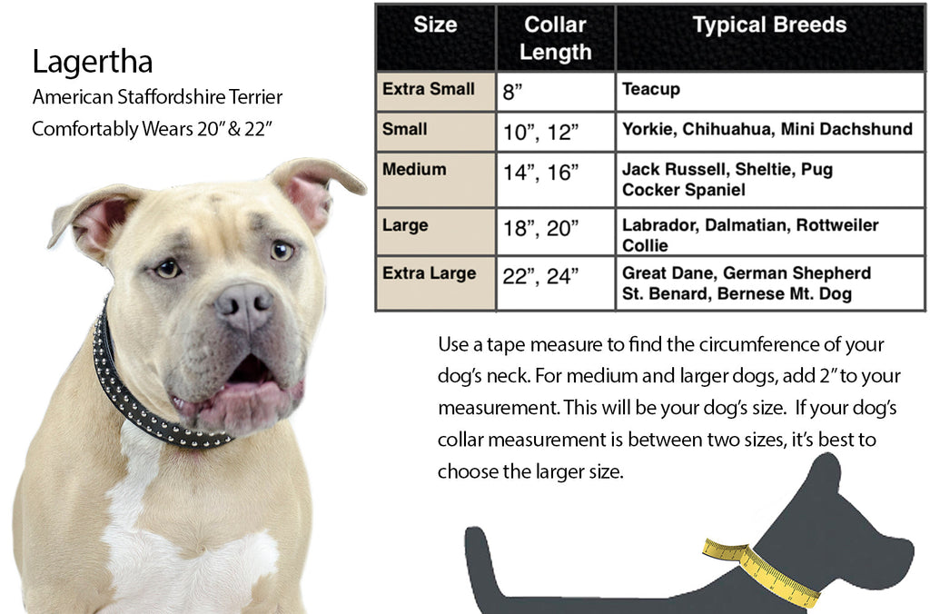 Dog collar size chart for Lagertha, collar lengths by breed size