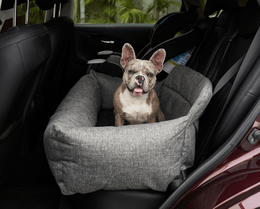 Gray tweed memory foam dog car bed with small dog sitting inside