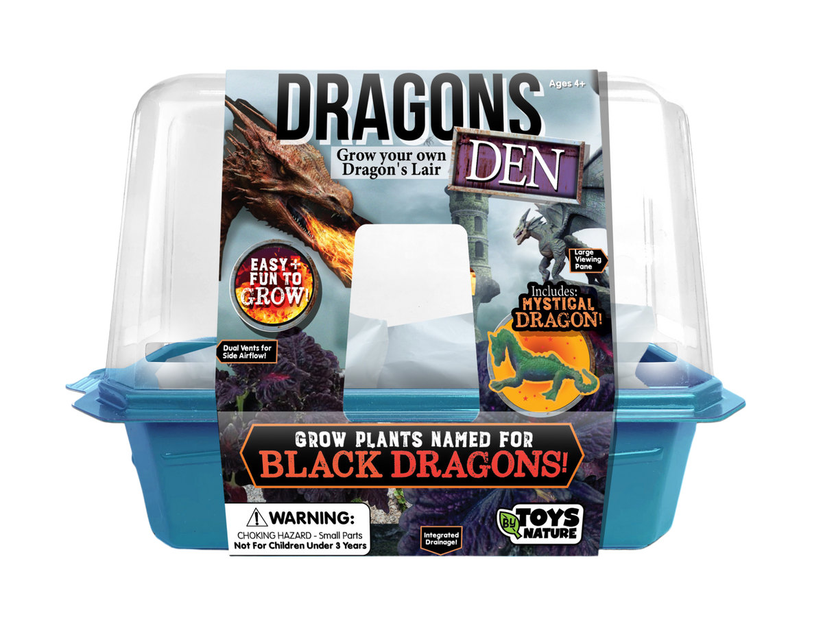 Dragon's Den mini terrarium kit in a blue base with clear dome and illustrated sleeve