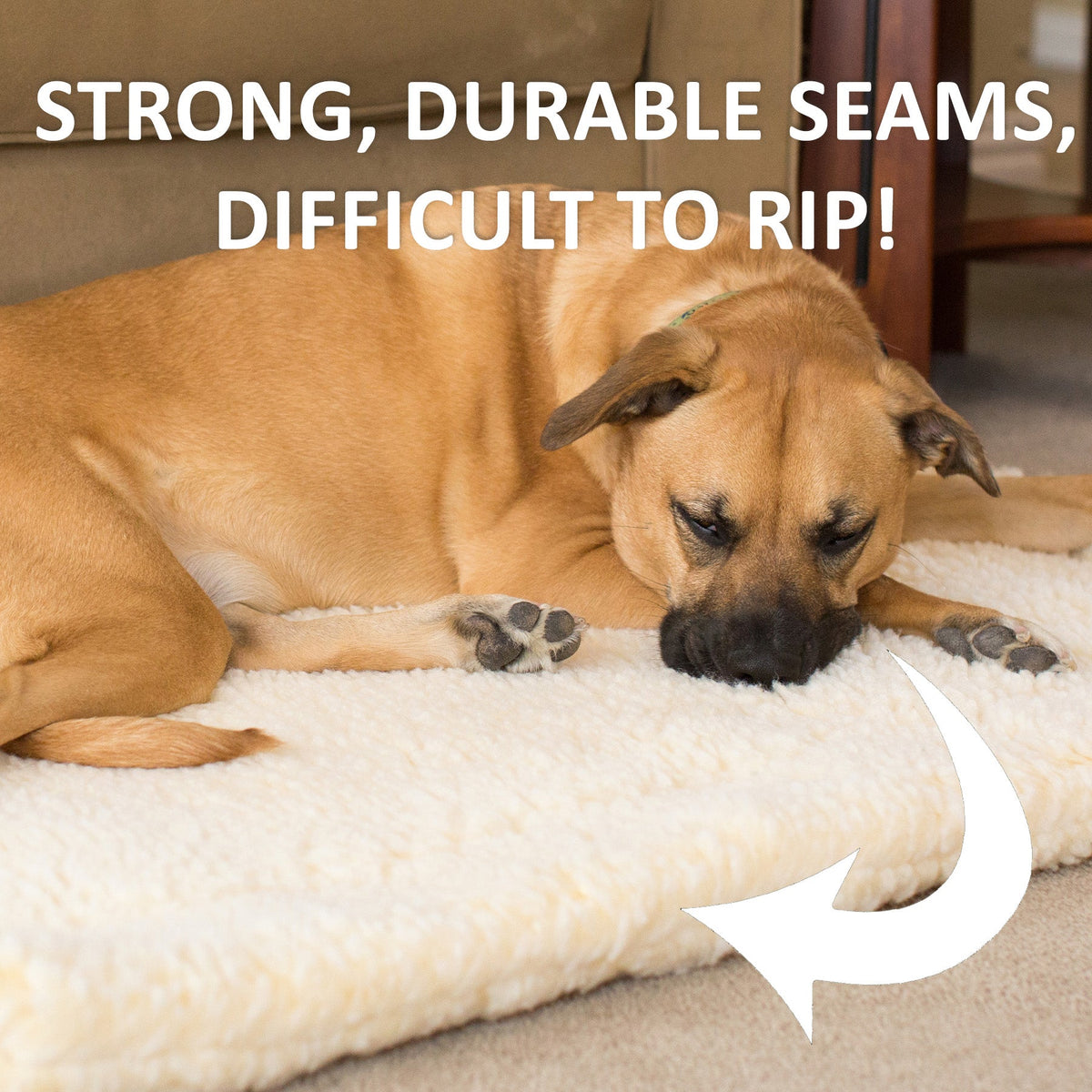 Cream fleece cat & dog bed mat with a dog resting on the plush surface