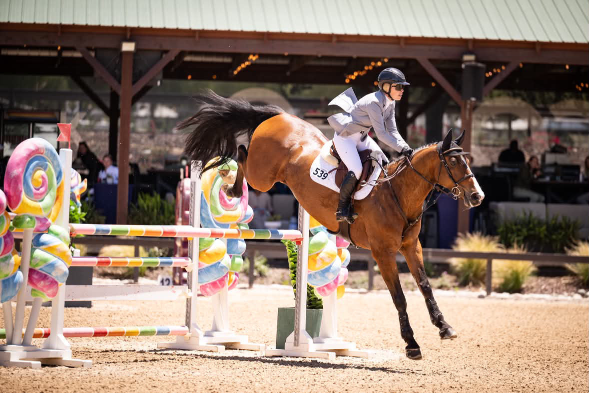 Cadet blue show coat on rider jumping position, notched lapels and three-button front visible