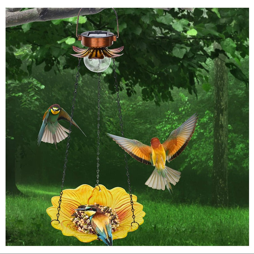 Hanging sunflower bird feeder with clear glass LED bulb and metal chain outdoors