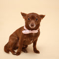 Pink polka-dot dog neckerchief with bow tie