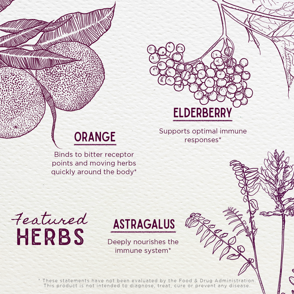 Elderberry syrup herbal infographic with elderberry, orange, and astragalus