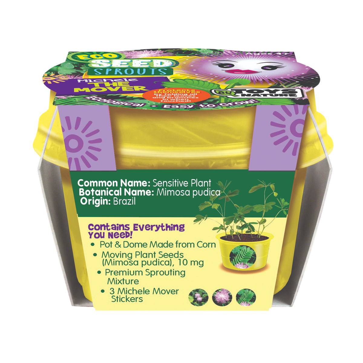 Sensitive plant seed sprout kit in a yellow pot package