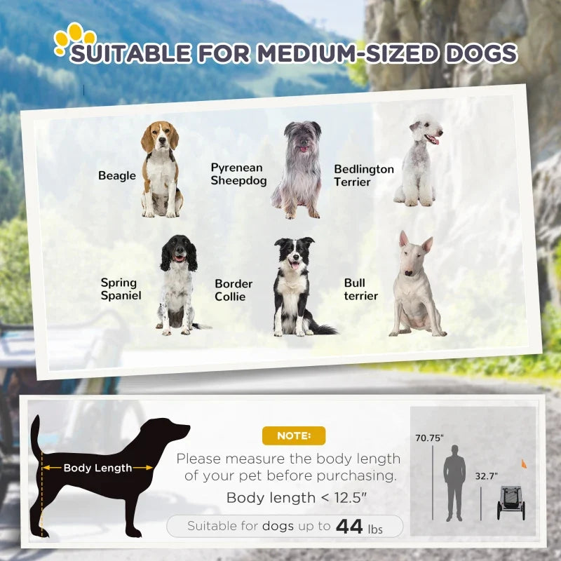 Dog bike trailer medium-size sizing chart with body length guide for up to 44 lb