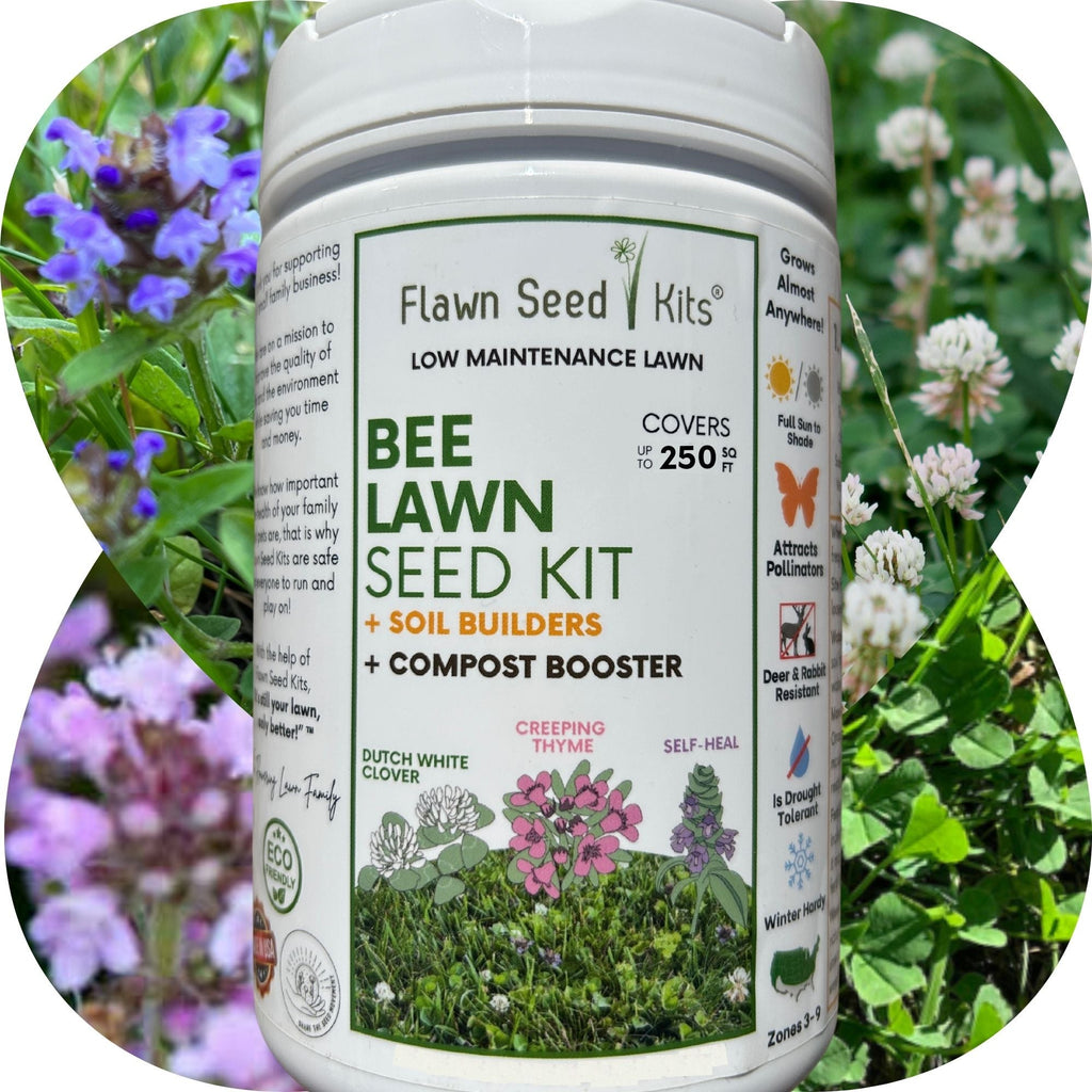 Bee lawn seed kit canister with green label for low maintenance bee lawn
