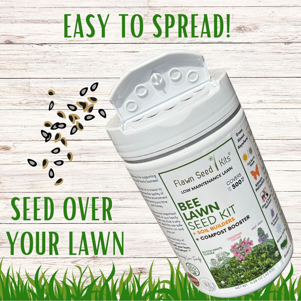 Bee lawn seed kit canister with seed-over-your-lawn sprout graphic