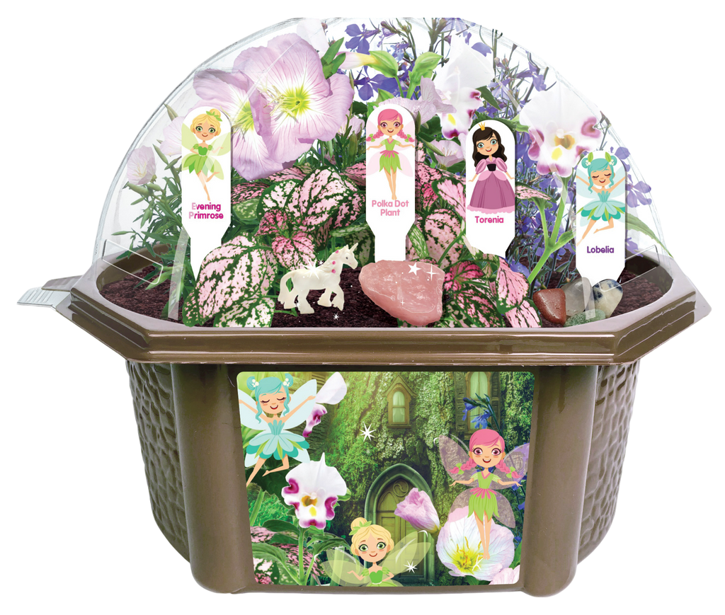 Fairy Garden terrarium with clear dome, four labeled plants, fairy artwork, and quartz stones