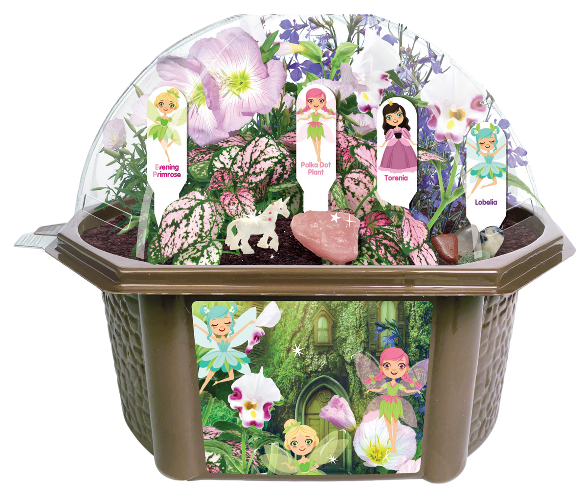 Fairy Garden terrarium with clear dome, four labeled plants, fairy artwork, and quartz stones