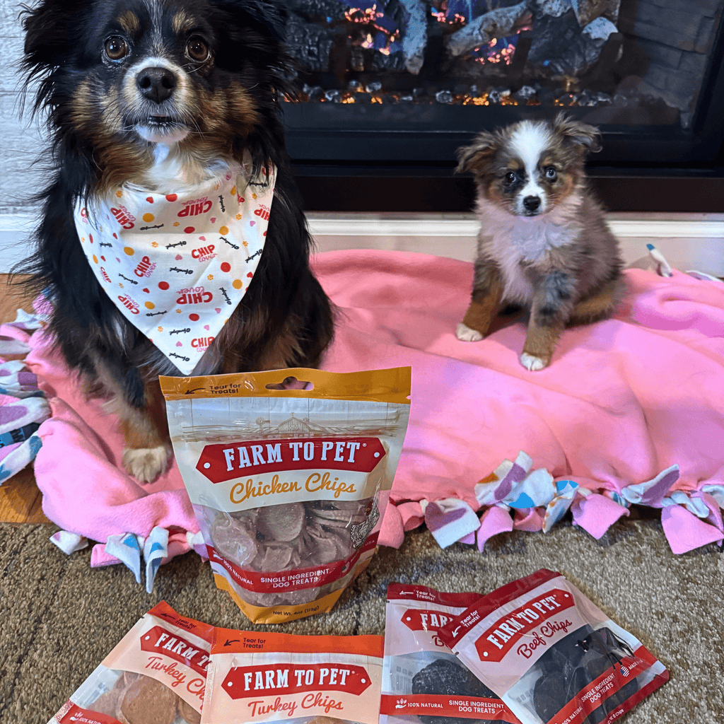Farm to Pet dog treat starter pack with chicken chips bag and snack pouches on bed