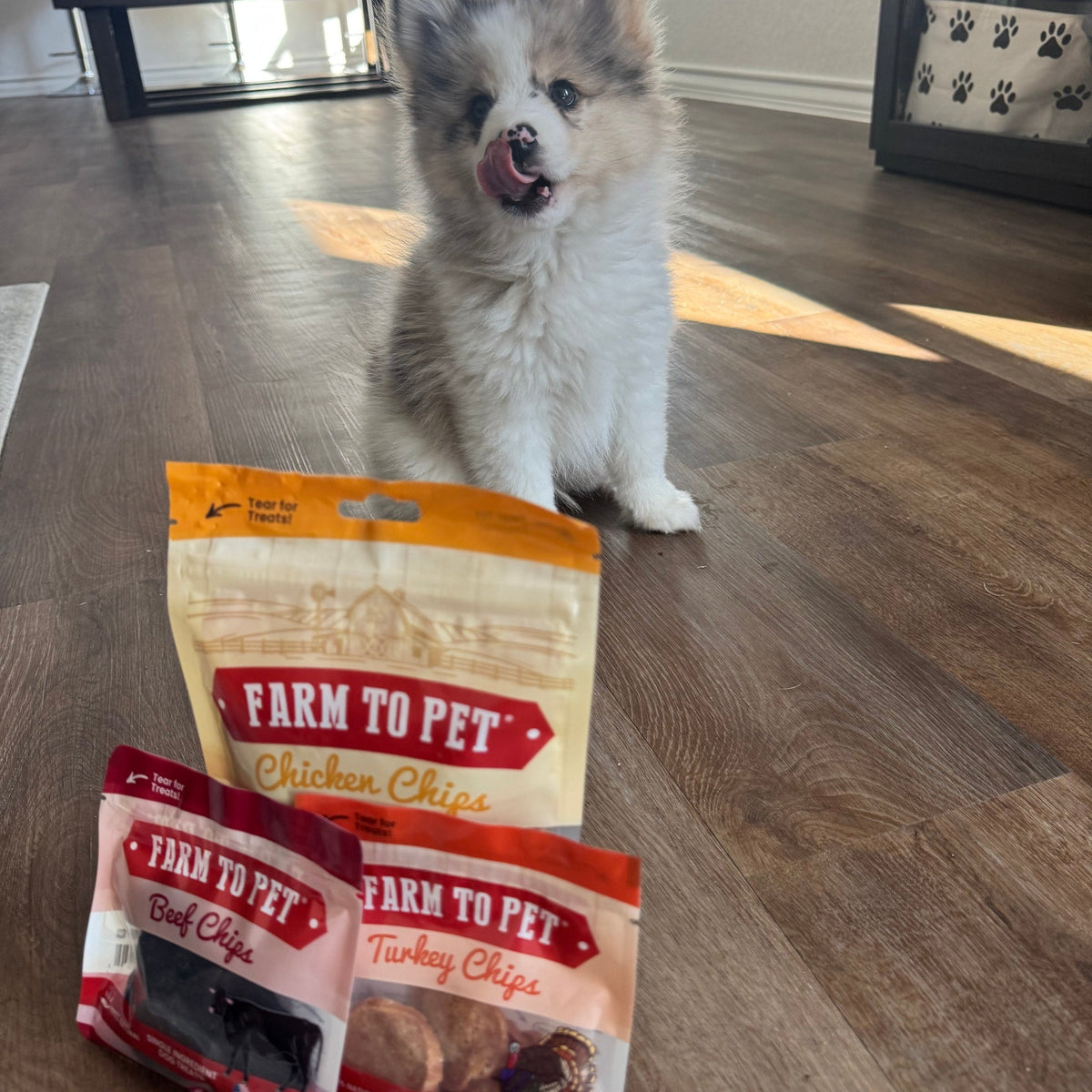 Farm to Pet chicken chips dog treat starter pack with bags on wood floor