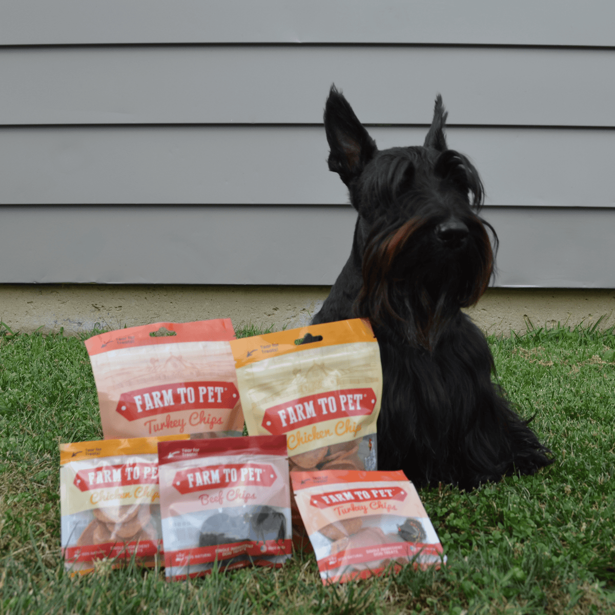Black dog with multiple farm-to-pet single-ingredient treat bags on grass