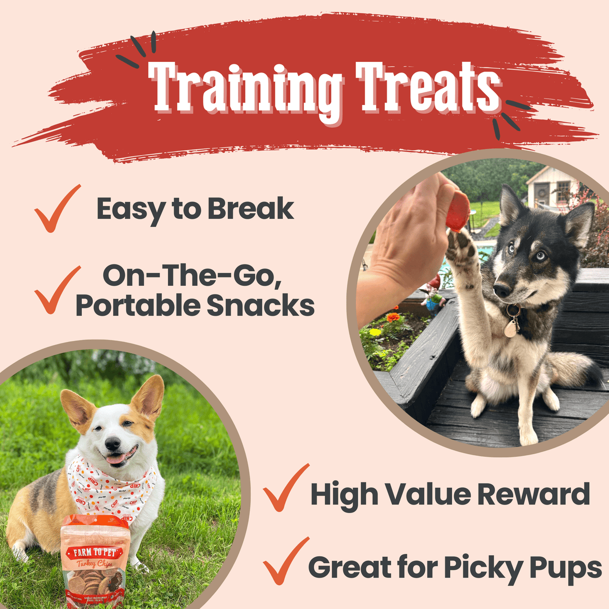 Farm to Pet Turkey Chips pouch shown with training treat infographic and dogs