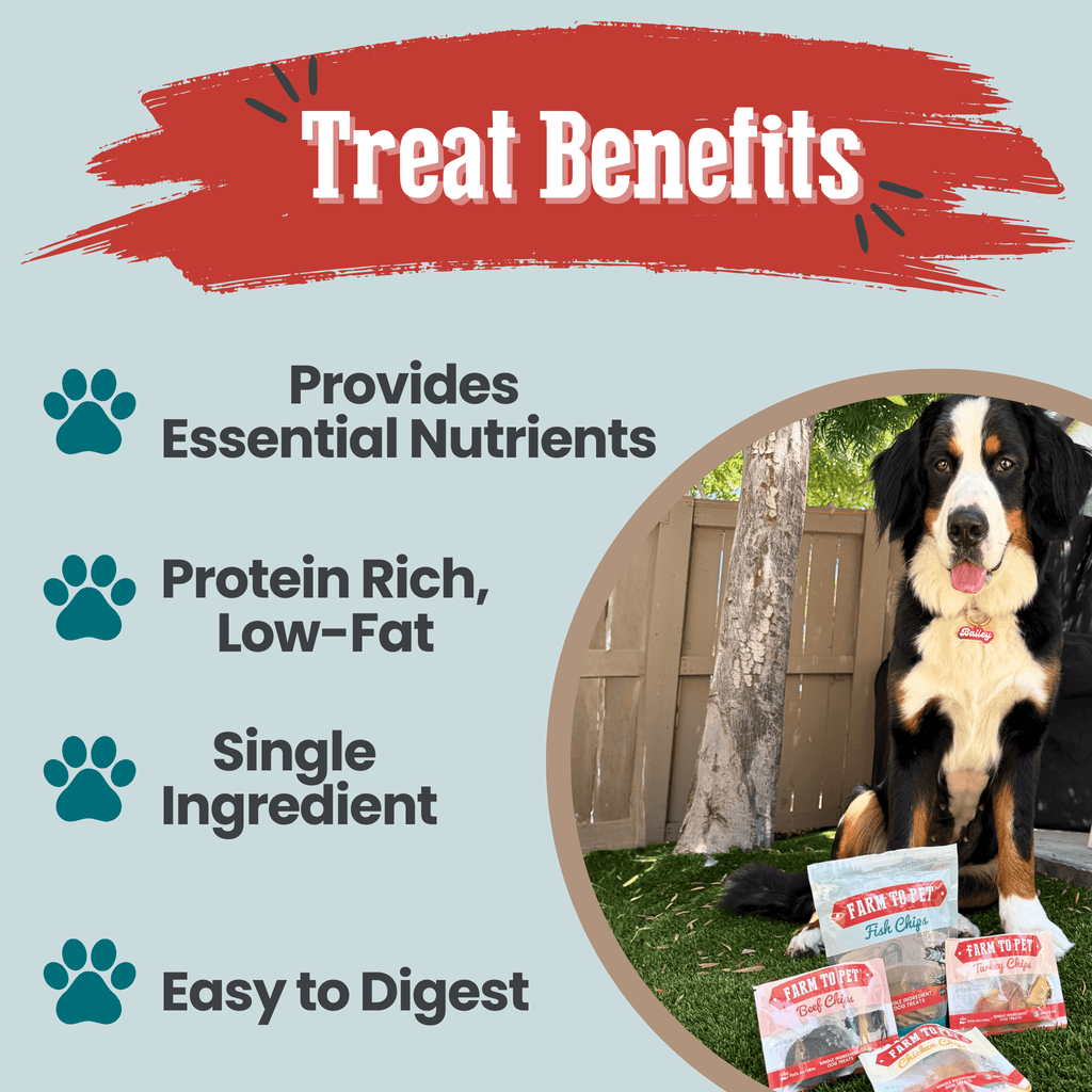 Dog treat starter pack with Farm to Pet snack bags and a black-and-white dog