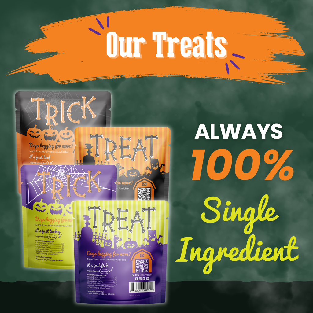 Halloween dog treat variety pack with four Trick or Treat snack pouches