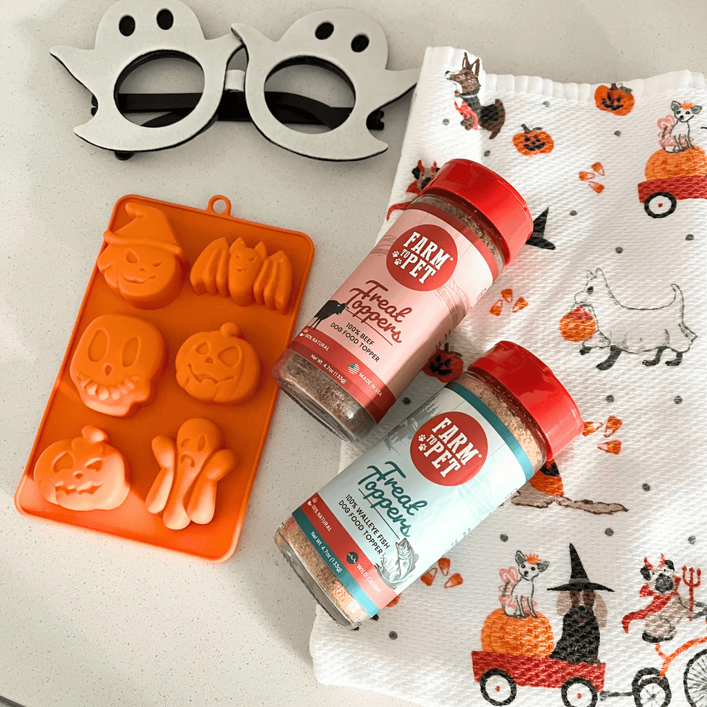 Orange silicone pet treat mold tray with paw and bone-shaped impressions