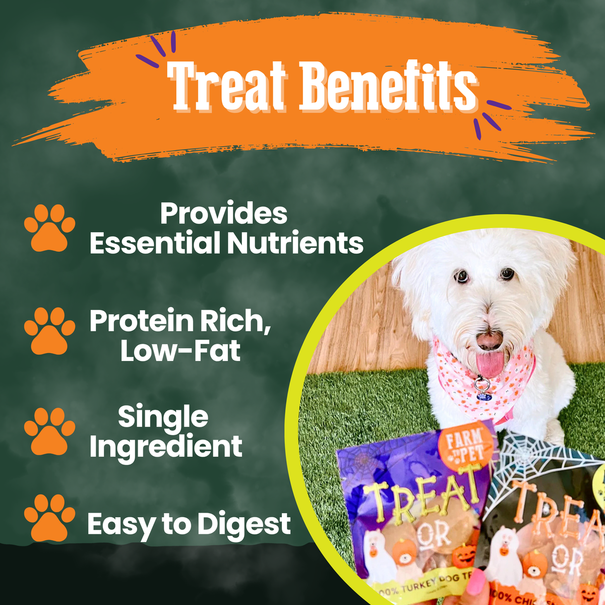 Farm Pet Trick or Treat dog treat pouch shown with a white dog on grass