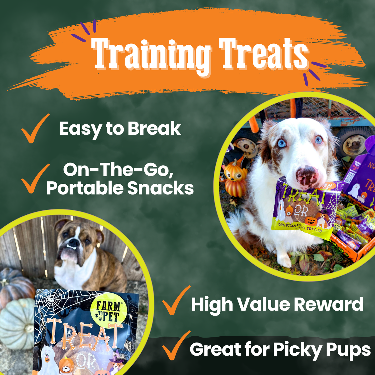 Training treats bundle featuring Farm Pet Trick or Treat snack pouches and dog