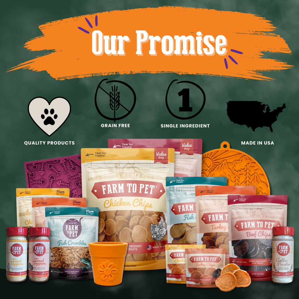 Assorted dog treat snack pack bundle with multiple packs, pouches, and containers