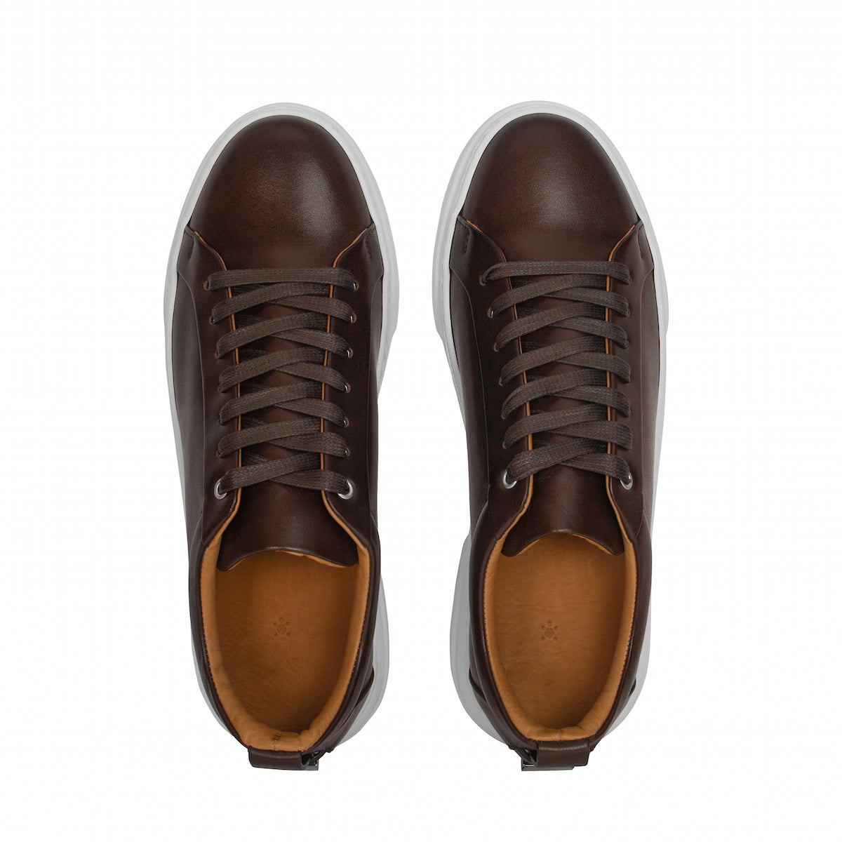 Pair of men's dark brown lace-up leather sneakers, flat sole view