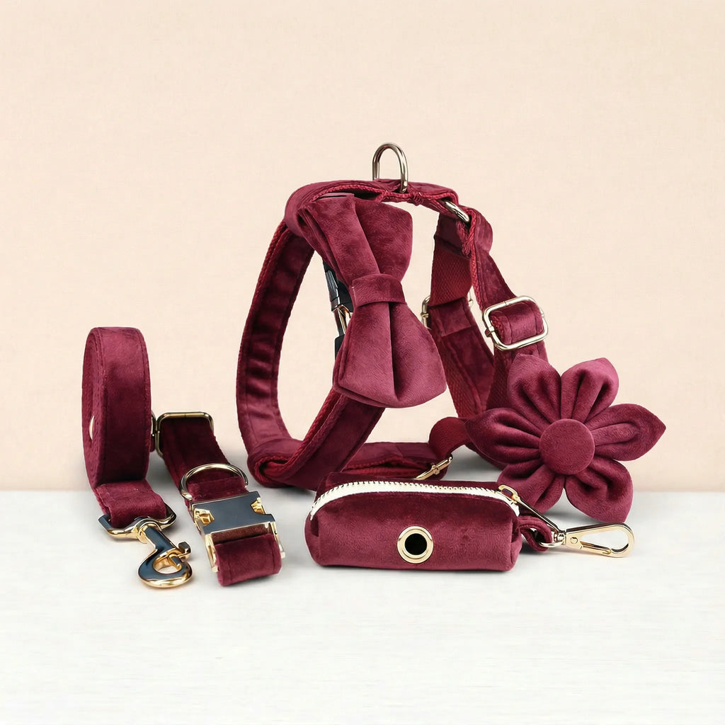 Burgundy velvet dog harness, collar, leash, bowtie, flower, and poop bag holder set