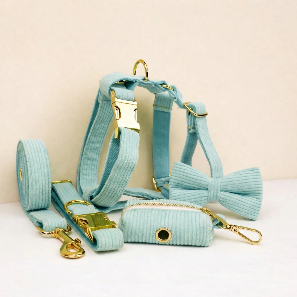 Light teal corduroy dog collar and bowtie set with leash and harness, gold hardware