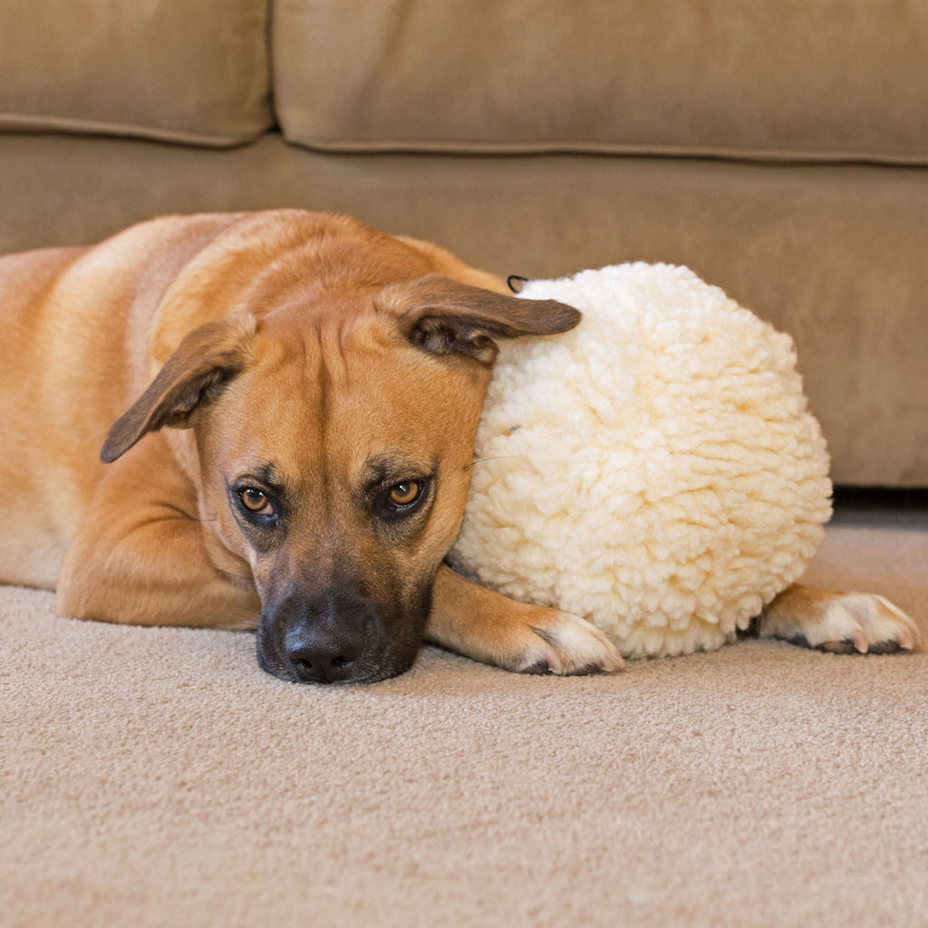 Cream plush ball dog toy lying on a sofa while a dog lounges