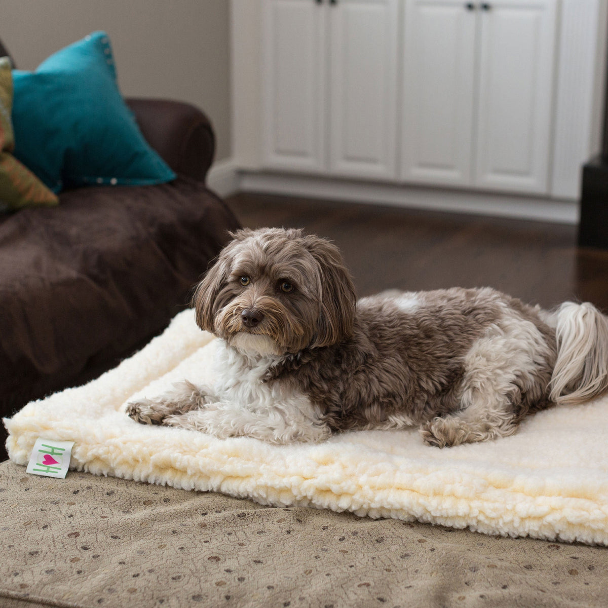 Natural fleece mat cat and dog bed with small dog lying on it