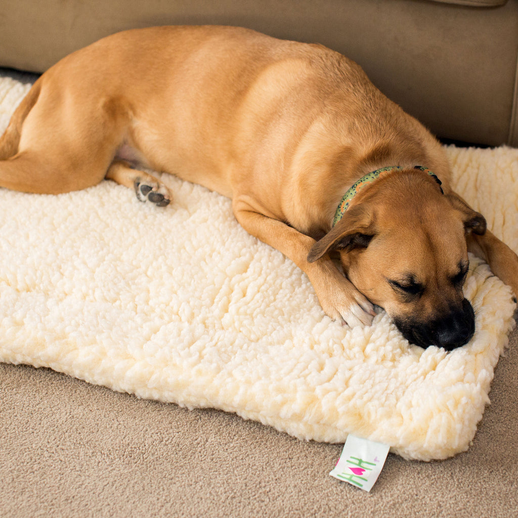 Natural fleece mat cat and dog bed with tan dog lying down