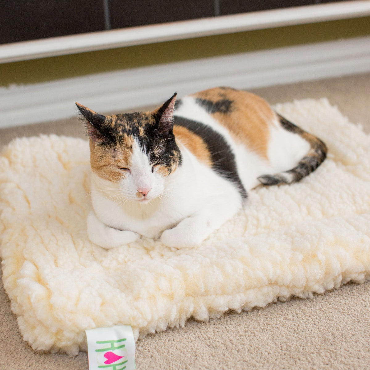 Cream fleece cat & dog bed with thick plush cushion and scalloped edges