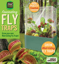 Venus flytrap seed terrarium kit in a clear square dome with a green base