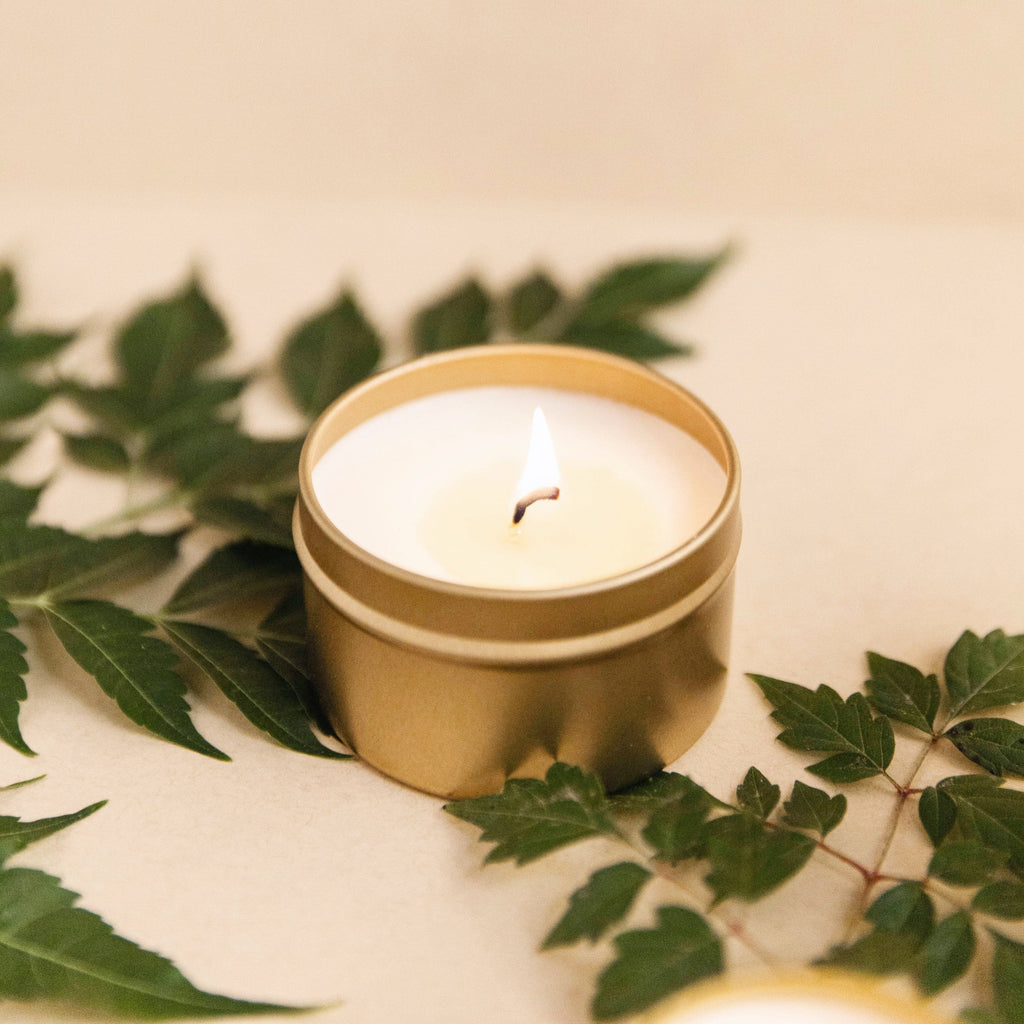 Scented candle in gold tin with flame, set among green leaves