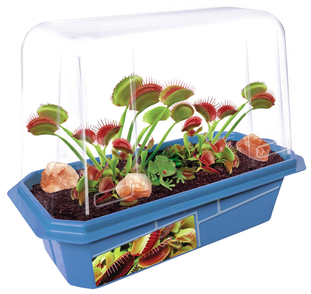 Frightening Flytraps terrarium with Venus flytraps, decorative stones, and a frog figure under a clear dome