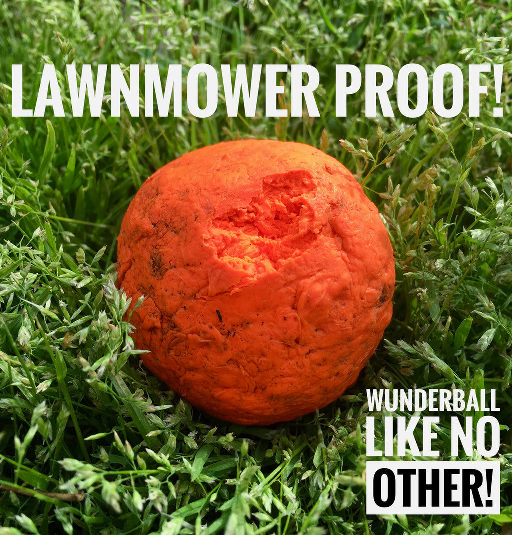 Orange textured dog fetch ball on green grass.