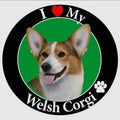 Round Welsh corgi face magnet with green center, red heart and paw print details