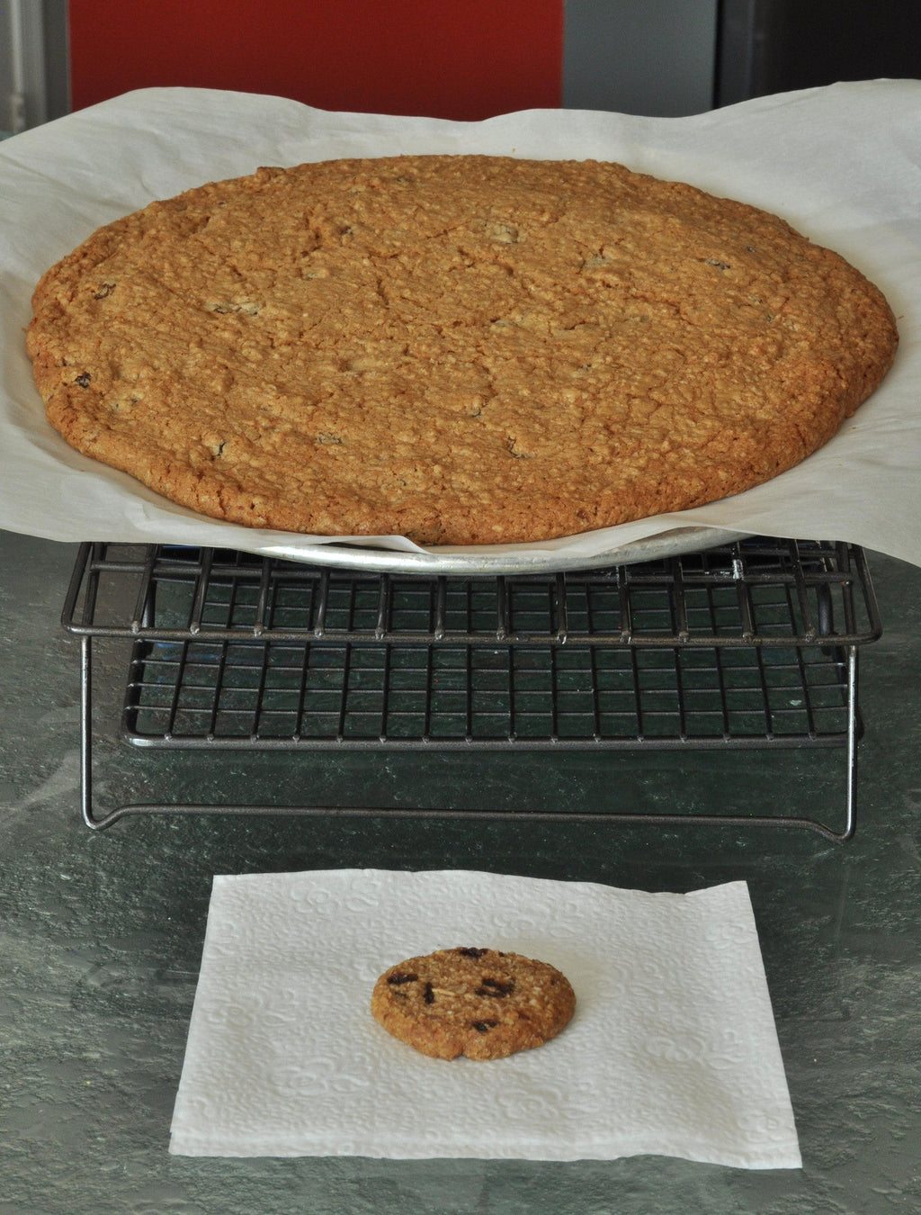 Round baked gluten free cookie on a rack with a single cookie below